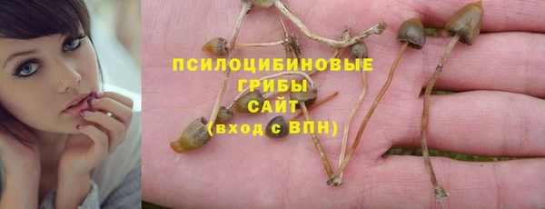 бутират Инта