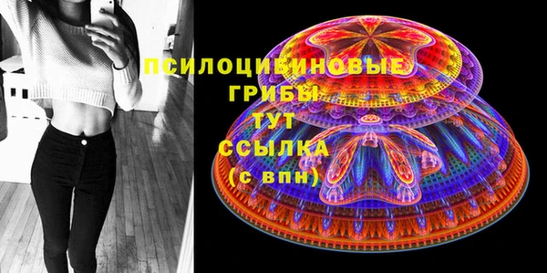 гидропоника Иннополис