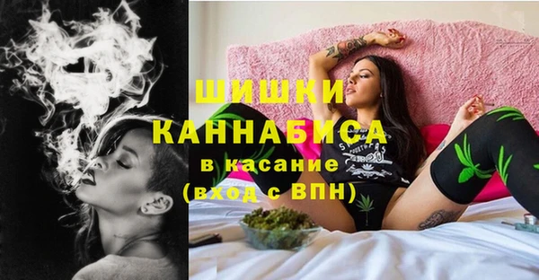 гидропоника Иннополис