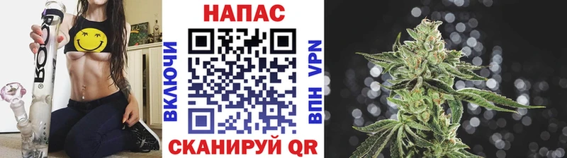 Купить закладки  Вытегра  Канабис план 